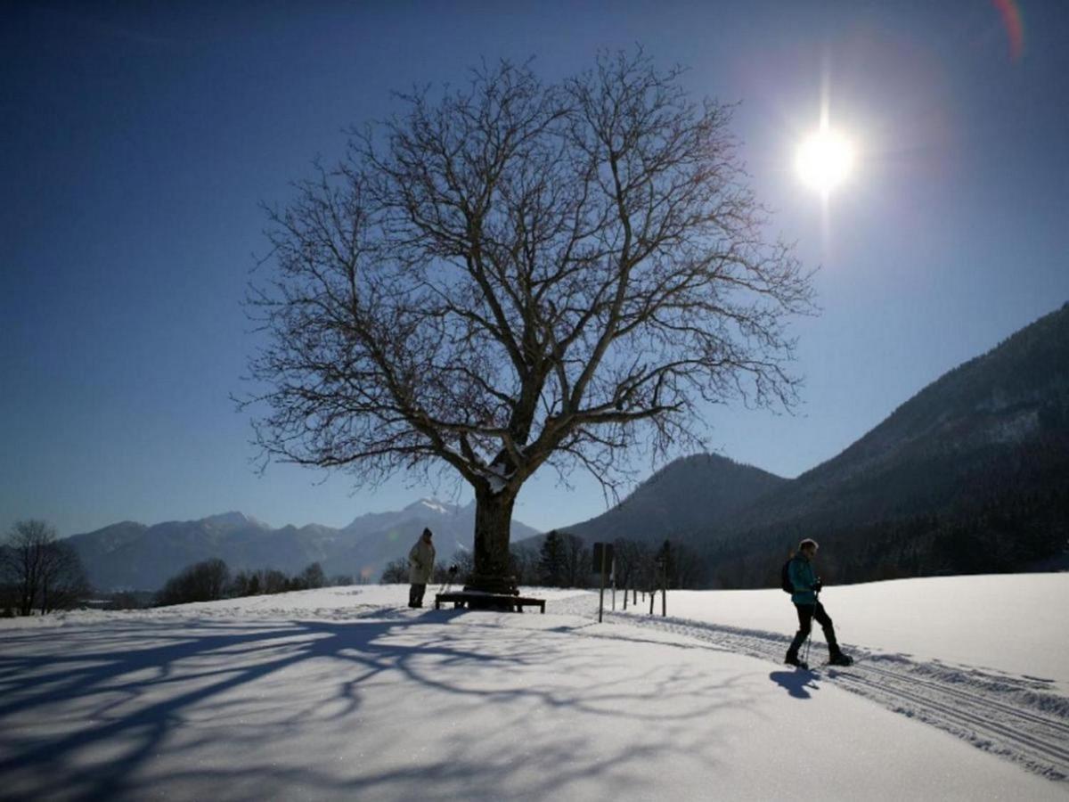 Appartamento Graublau Grassau  Esterno foto